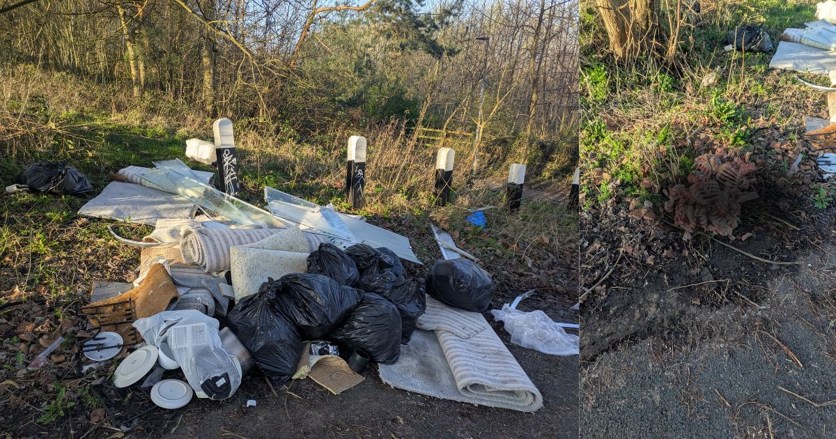 WARNING TO ANYONE WHO WALKS THEIR DOG ON THE NEW ZEALAND ROAD OPEN SPACE

Someone has dumped a large animal carcass along with the rest of the fly tipping. 

I have reported this for urgent clear up and investigation but please let other dog walkers know. 

Fly tipping of any kind is not acceptable and takes away money and resources from all the other essential council services.